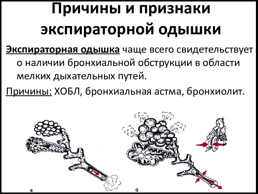 Правила оказания первой помощи Правила оказания первой помощи
